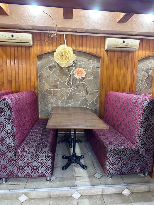 Будинок та бізнес (кафе) в одному місці с. Вільхи