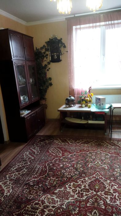 Дом с.Калиновка, 23км от Кривого Рога