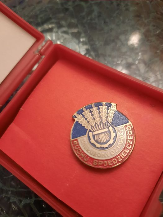 Przypinka zasłużony działacz Ruchu społecznego