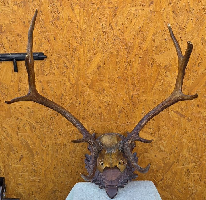 Роги оленя часів срср