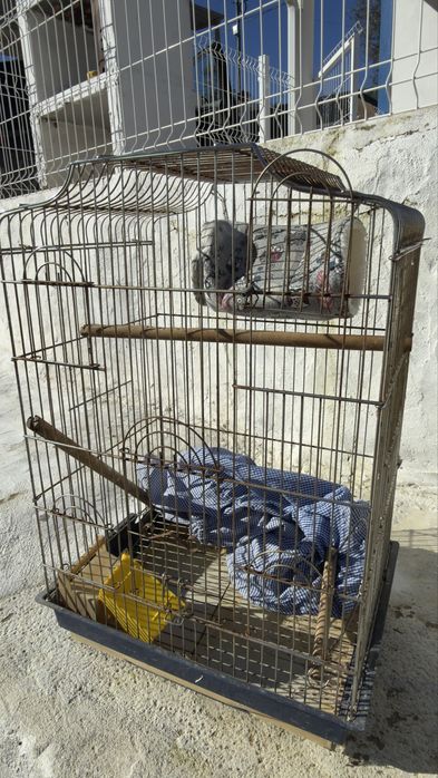 Gaiola aves de porte maior