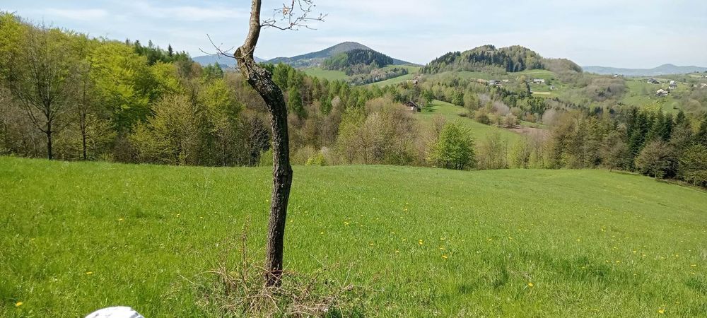 Domek wolnostojący, pokój do wynajęcia, nocleg, agroturystyka