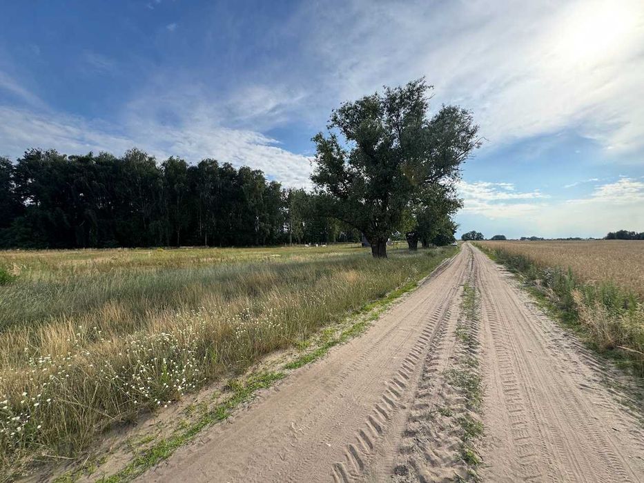 Wierzbiczany działka budowlana - Widok 2