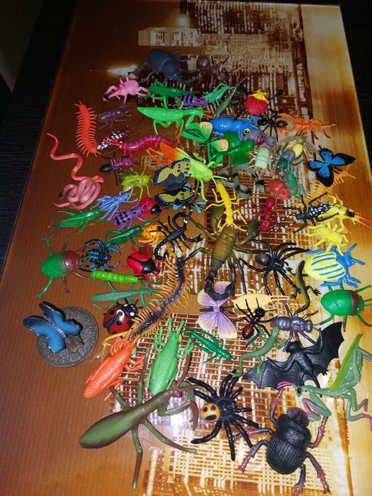 Развивающиц  набор   насекомых   .