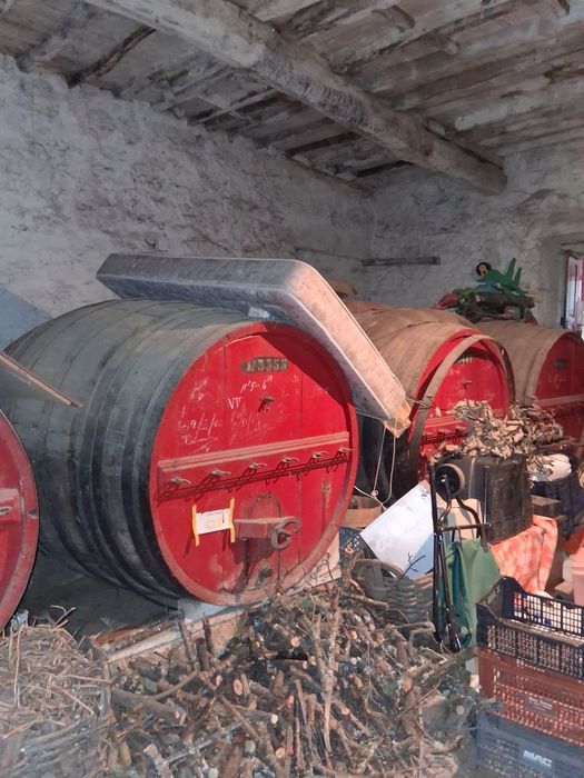 Pipas de vinho em madeira.