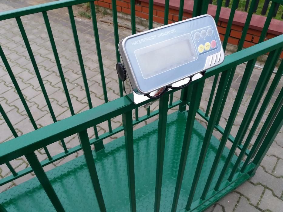 Waga inwentarzowa do tuczników, trzoda, żywca, świń elektroniczna