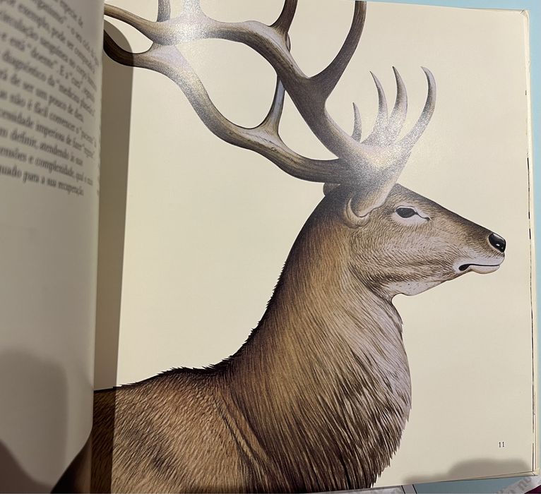 Conservação da Natureza - Livro dos CTT