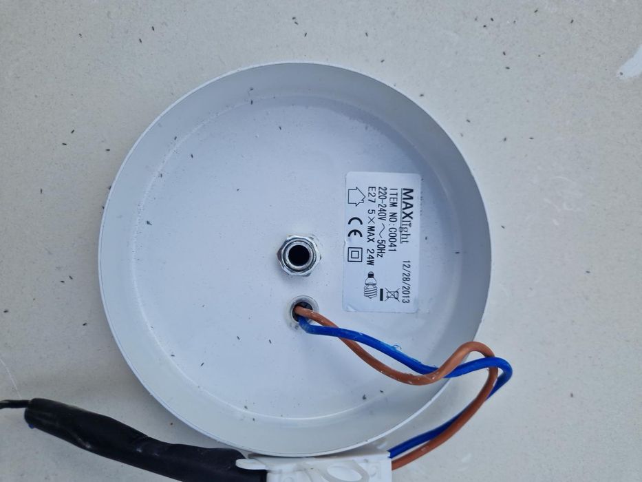 Lampa plafon z MaxFliz