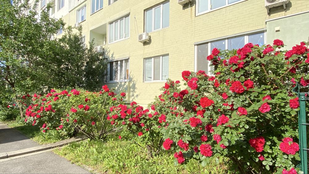 Сучасна квартира шукає нову родину. ЖК Квартет пр-т. Ювілейний 61д