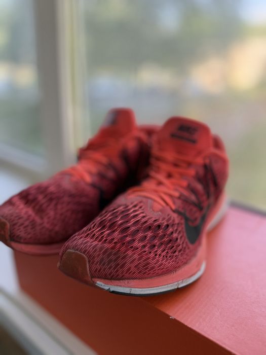 Кросівки Nike Pegasus