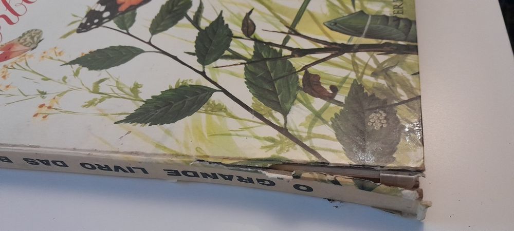 O grande livro das borboletas