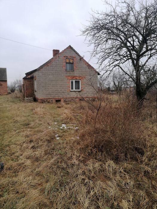 Dom z budynkami gospodarczymi