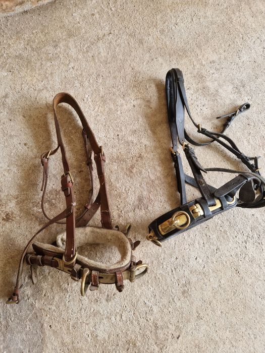 Matérial de cavalos
