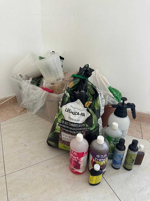 Lote ~15 plantas interior + acessórios premium jardinagem