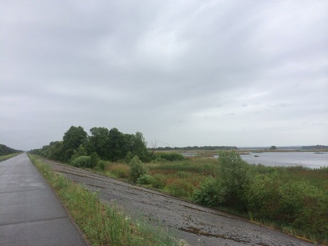 5,76 га біля Дніпра, с. Проців, Бориспільский р-н, без %