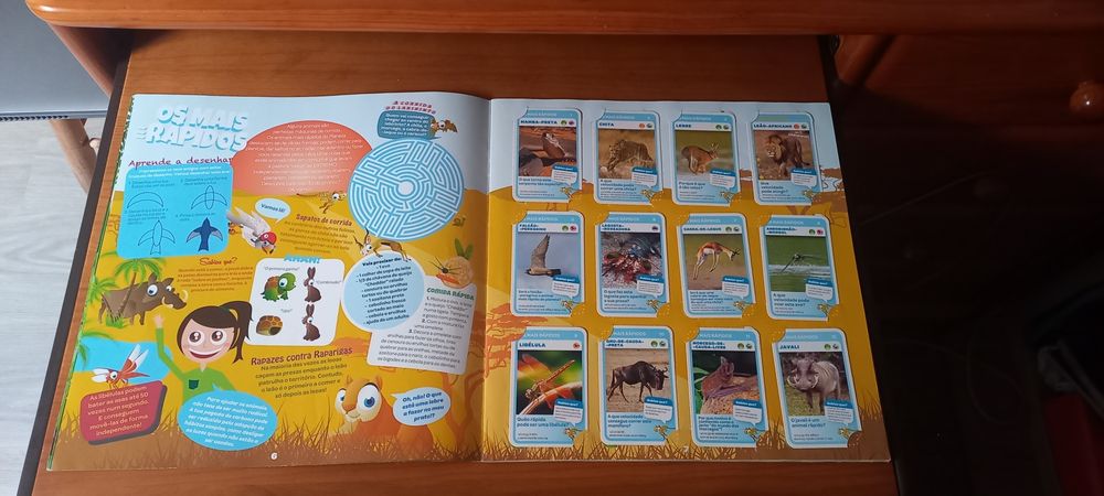 Caderneta Grande Álbum do Explorador completa

-