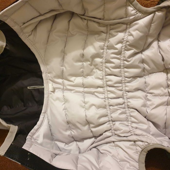 Kombinezon firmy AV ONE dla psa XS, długość 25 cm