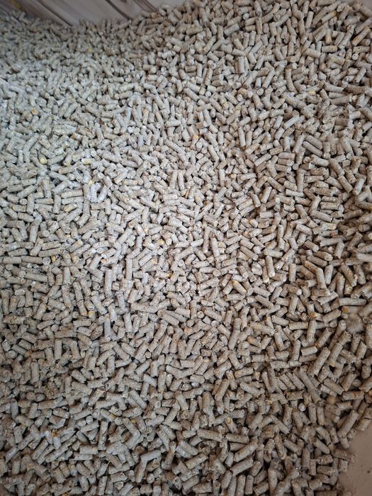 Zanęta dla ryb  pellet z kukurydzy