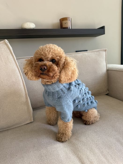 Светр для собаки/кота