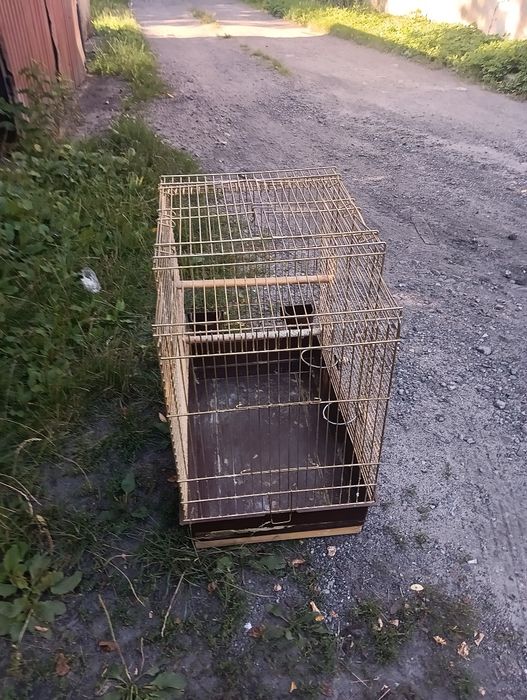 Klatka dla papug