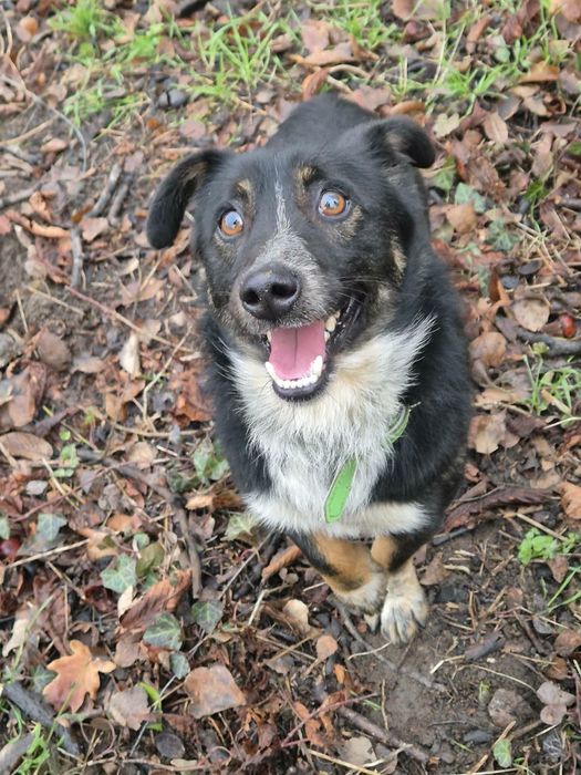 Rozglądamy się za domkiem dla malutkiego Filusia