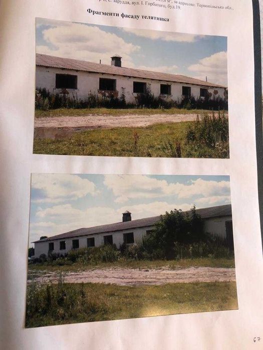 телятник Тернопільська область Збараж