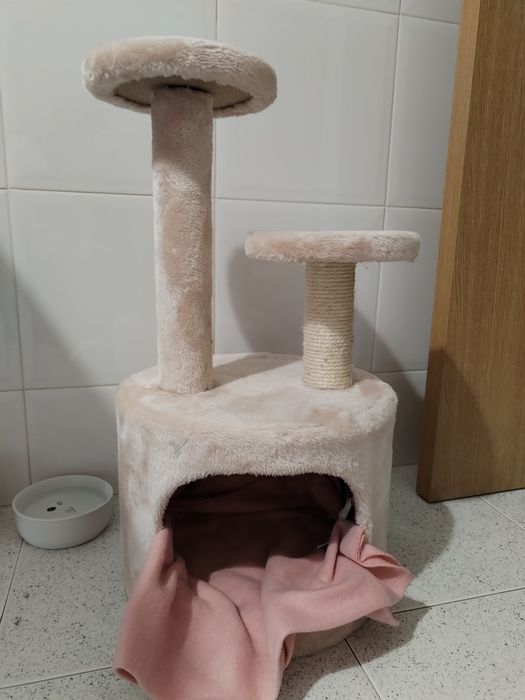 Arranhador para gatos