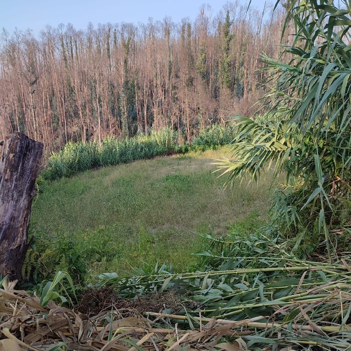 Terreno em Angeja