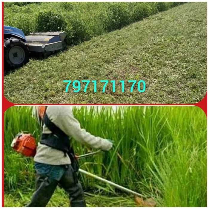Koszenie trawy i sarosli,wykaszanie działek,kosiarka bijakowa, karczowanie działek,rębak,mielarka
