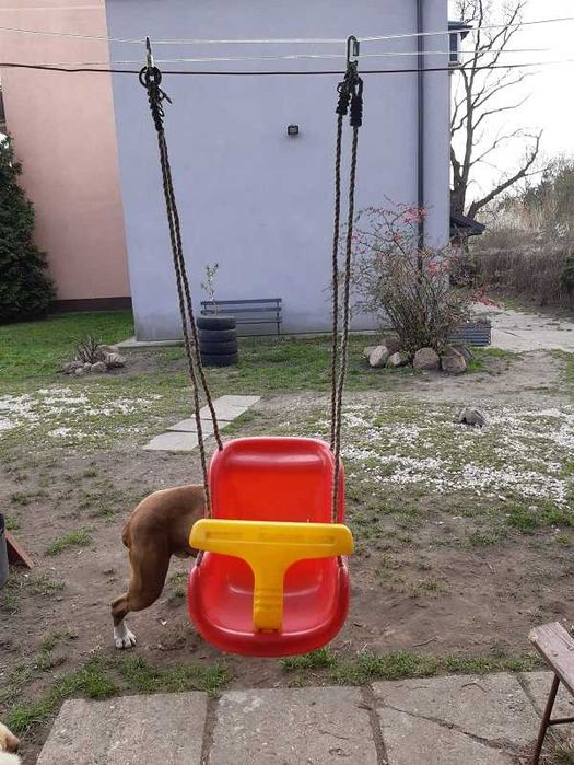 Bujawka/huśtawka dla dziecka