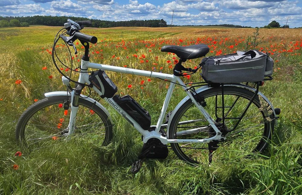 E-Bike. Męski rower elektryczny. E-Trekkingbike Bosch-HERCULES-Robert 9.