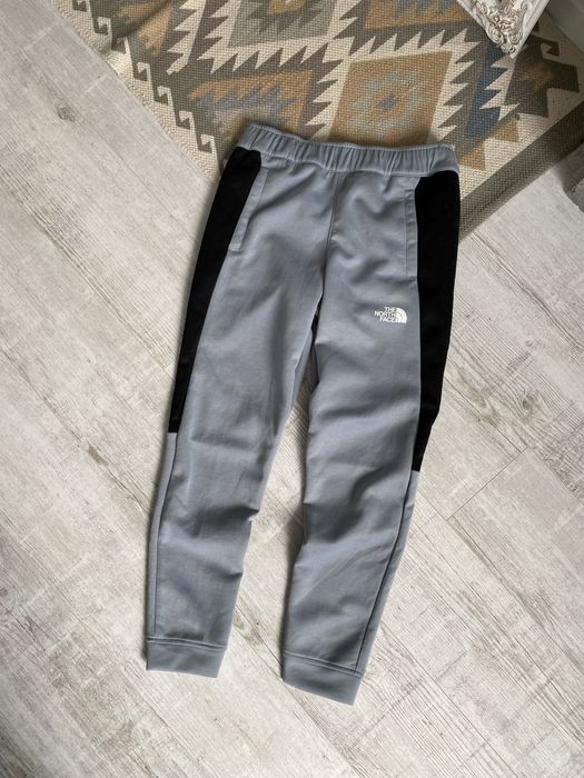 Чоловічі спортивні штани the north face
