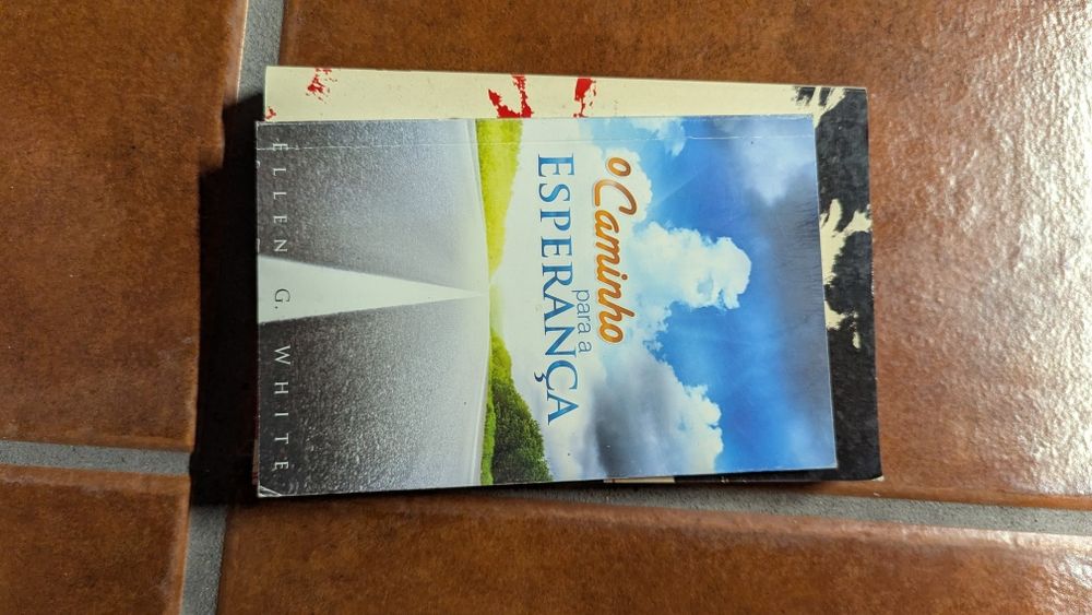 O caminho para a esperança de Ellen G. White