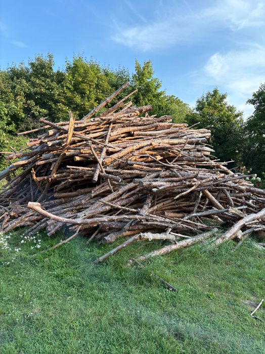Drzewo na opał, w większości sosna