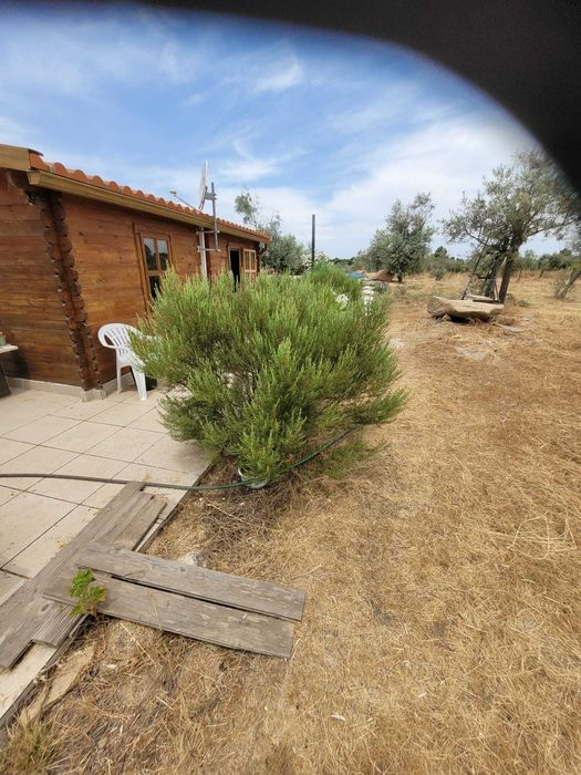 Conheça a quinta com que sempre sonhou.