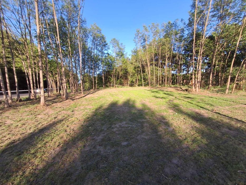 Działka pod dom przy lesie i Zbiorniku Jeziorsko – 1158 m², WZ bezterminowa - Widok 5