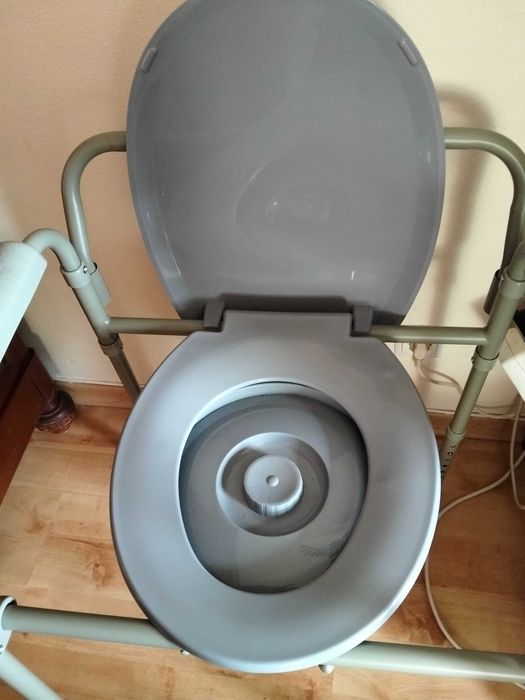 Cadeira sanitária para problemas de mobilidade