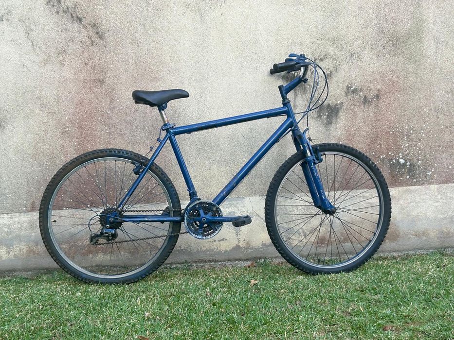 Bicicleta zoom profissional