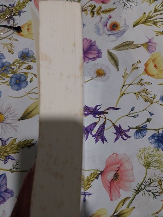 Le Mystère de Noël. Portes incluídos