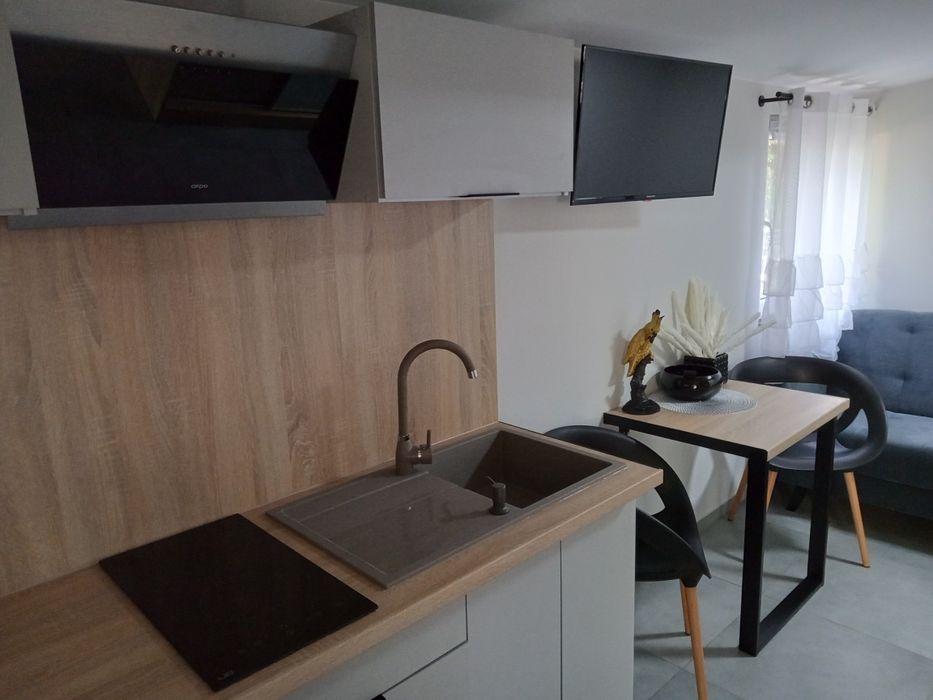 Loft 3 BUKOVA Przyjezierze domki apartamenty na wynajem klimatyzowane