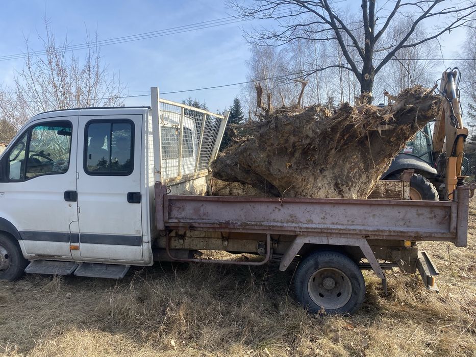 Wycinka drzew, sprzatanie terenu