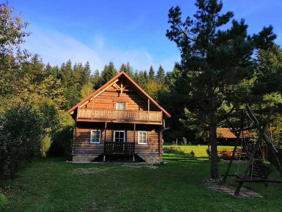 Будинок котедж відпочинок НР заброньований