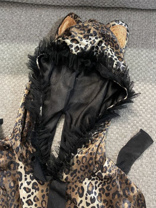 Кіт леопард котик  140