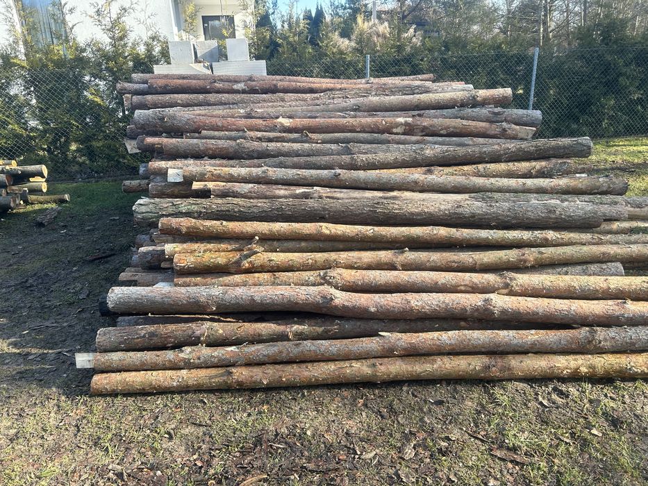 Stemple budowlane sosnowe 3 m (350 szt.)