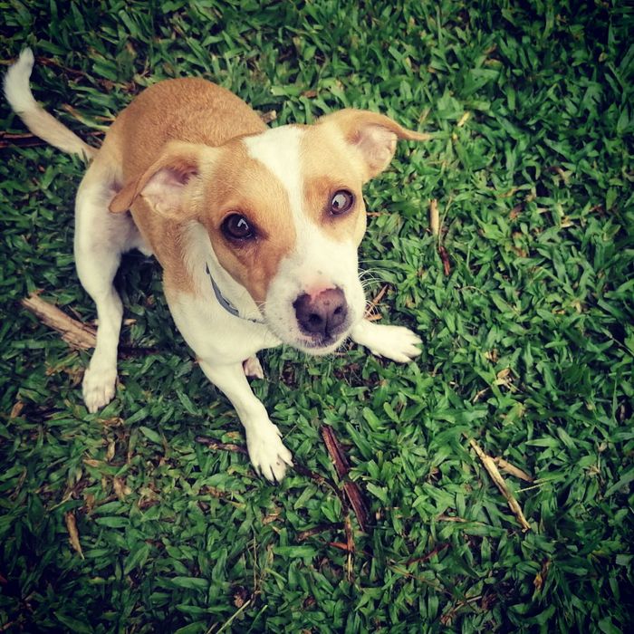 Procuro familia sem crianças