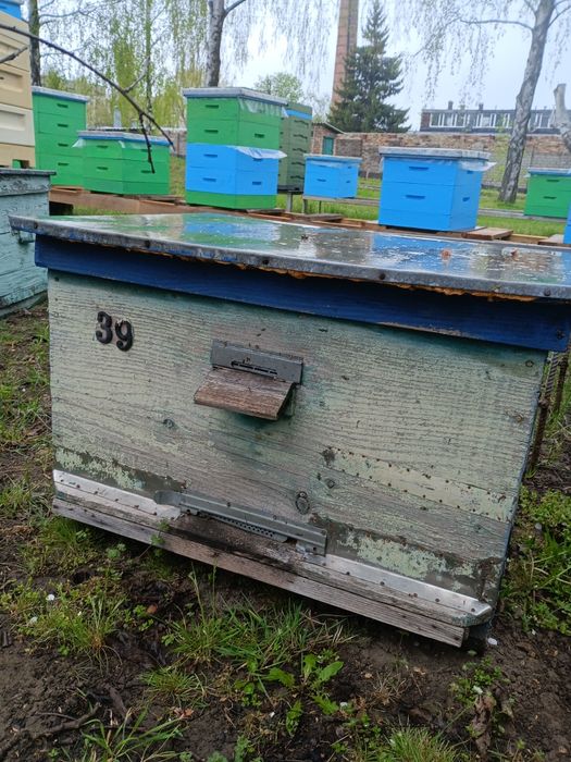 Продам 6 уликов лежака