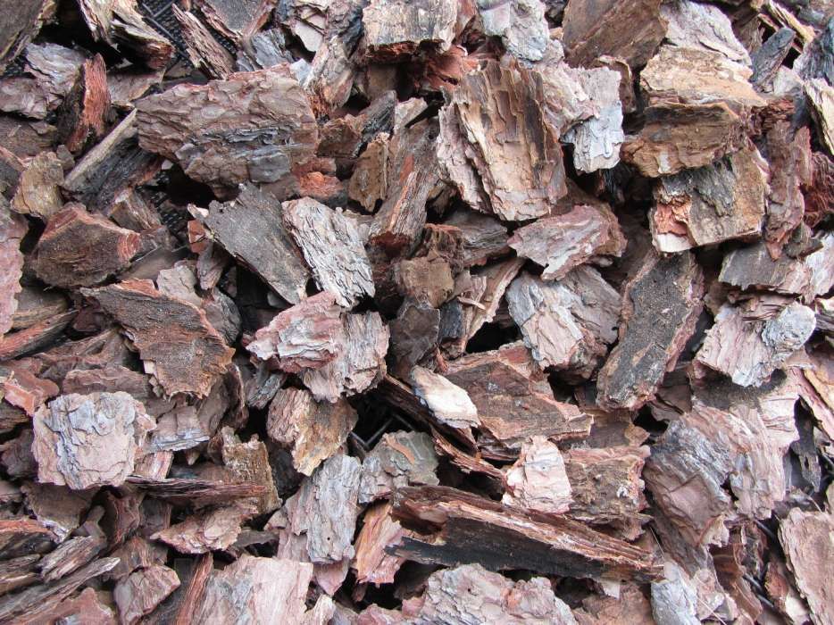 Соснова кора, обладнання для виготовлення.