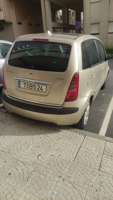 Lancia musa estimado