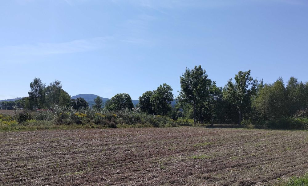 Działka budowlana w Podgórzynie z warunkami zabudowy 844 m2