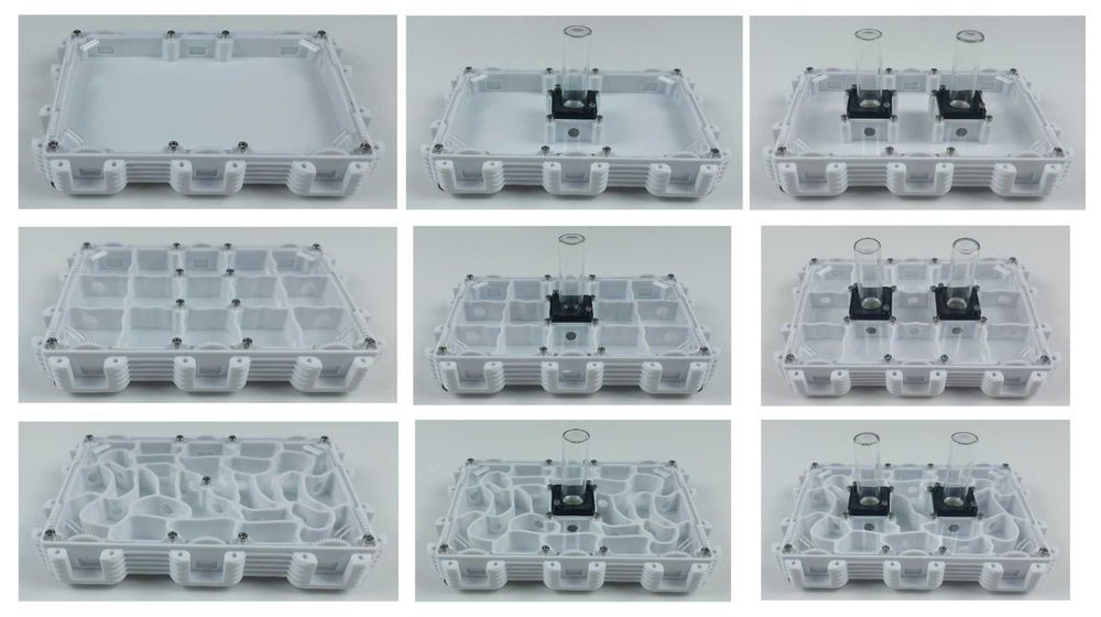 Модульний формікарій, мурашина ферма